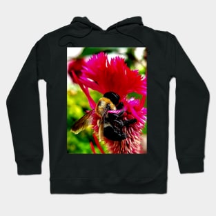 Bumble Bee Hoodie